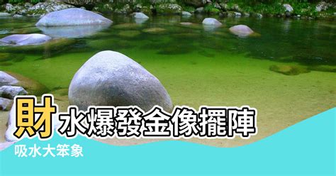 大象風水|【大象 五行】大象，水金之爭？三界五行解析象徵吉祥與禁忌